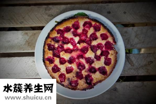 鱘魚吃什么