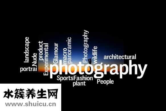 裳怎么組詞