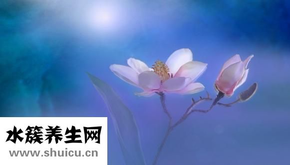 什么的喜訊