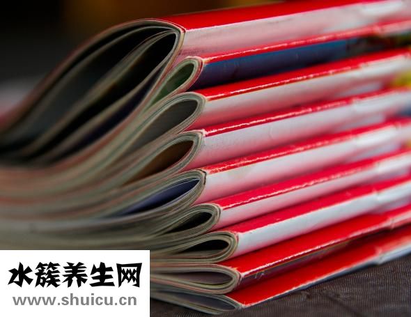 山芋是什么