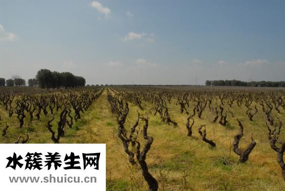 五岳是什么