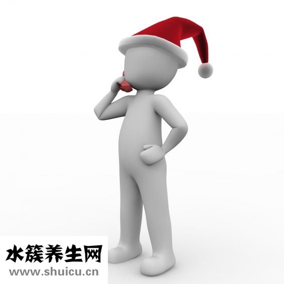 什么的老人