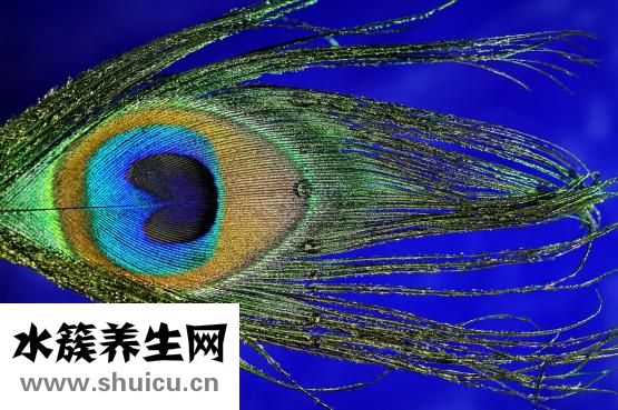 體質差怎么辦