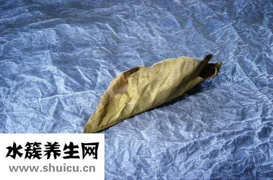 一個甲子是多少年