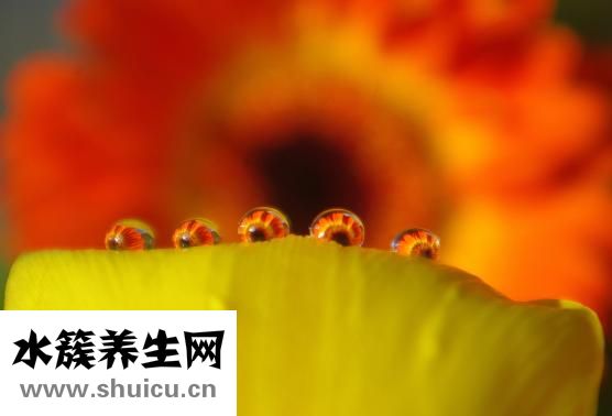 身上皮膚干燥怎么辦