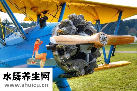 入盆后多久生