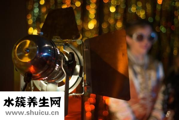 什么是食物鏈