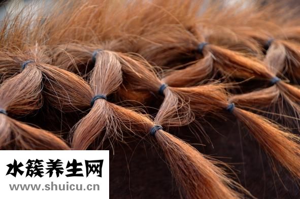 有什么好看的發型