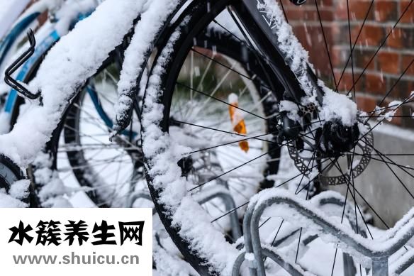 什么是頭發種植