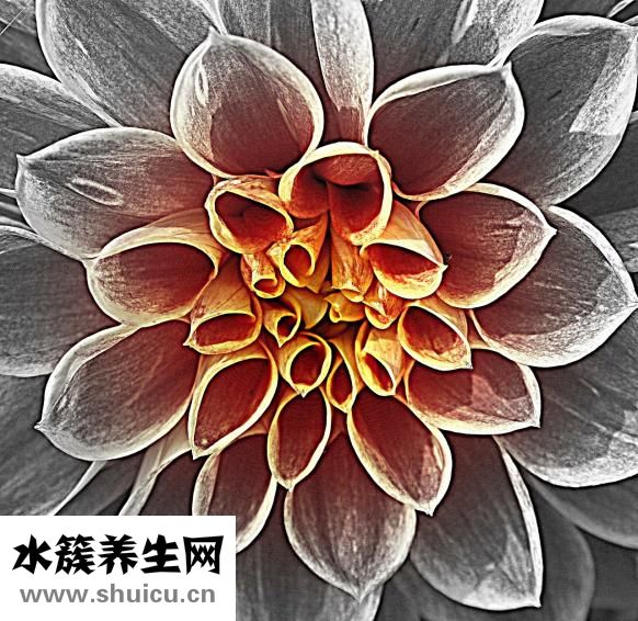 怎么祛紅血絲