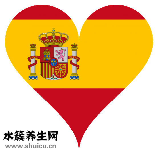 什么是心衰