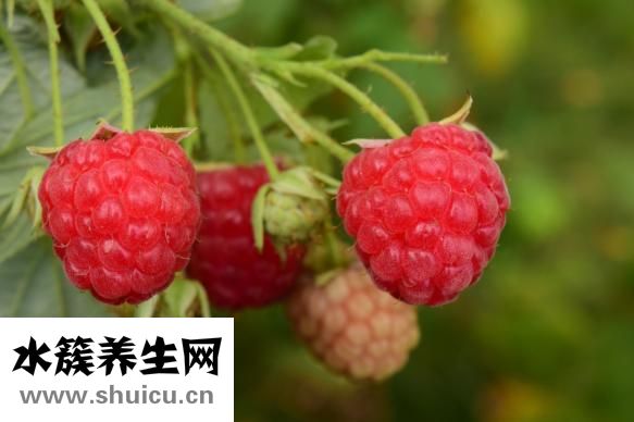 紅包怎么寫