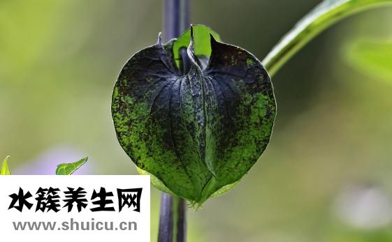 如何控制自己