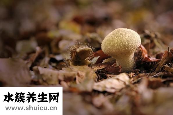 手蛻皮怎么辦