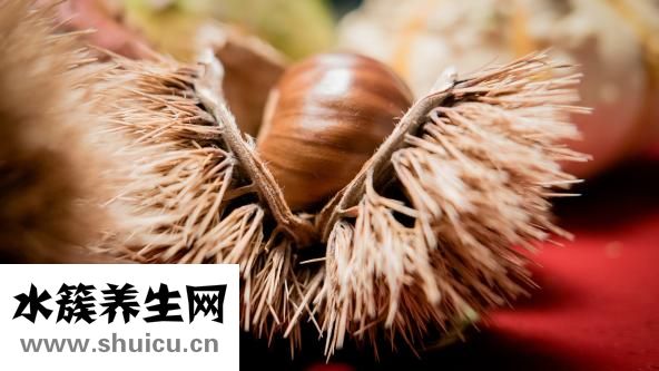 如何燉羊肉