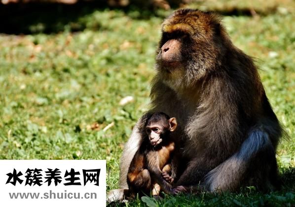 寶寶老是吐奶怎么辦