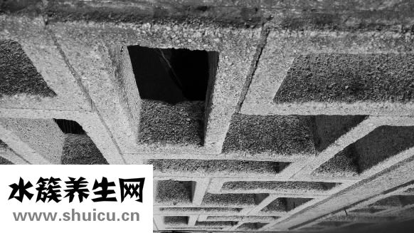 吃柿子不能吃什么