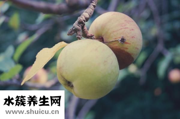 紅包怎么寫