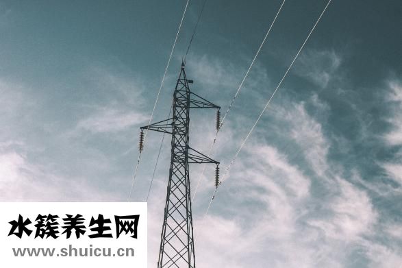 股長是什么