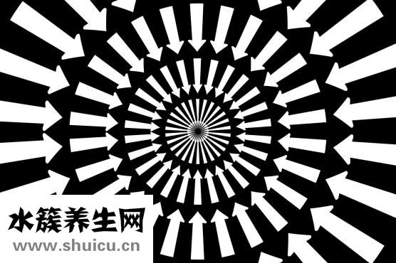如何減臀部