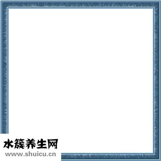 厭食癥怎么辦