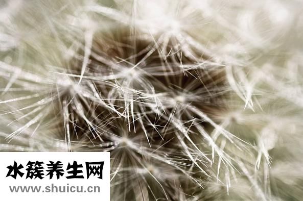青春痘怎么