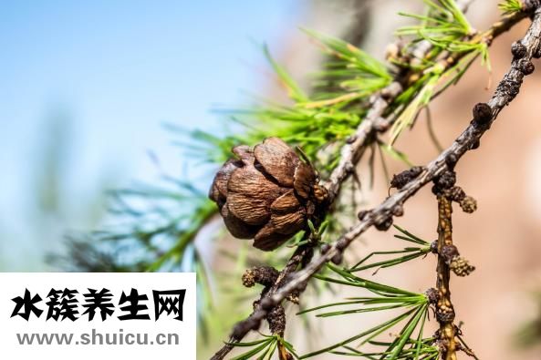 綠鉆有什么用