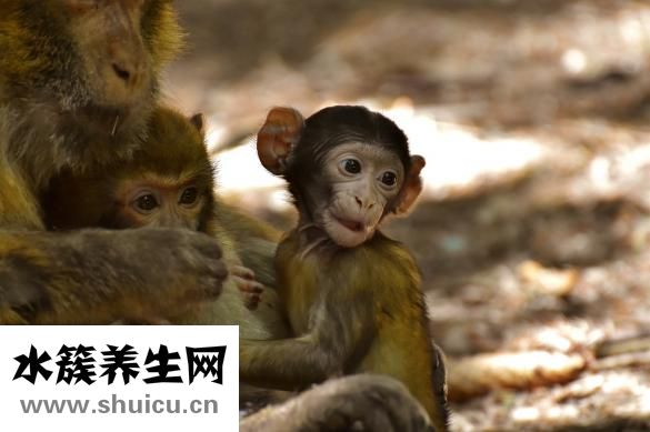 寶寶為什么會吐奶