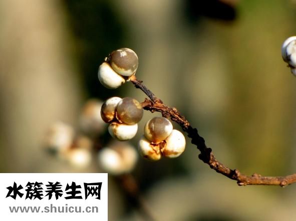 手發麻是什么原因