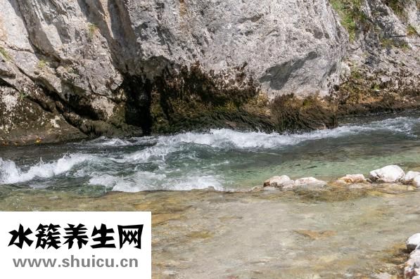 怎么清洗飲水機