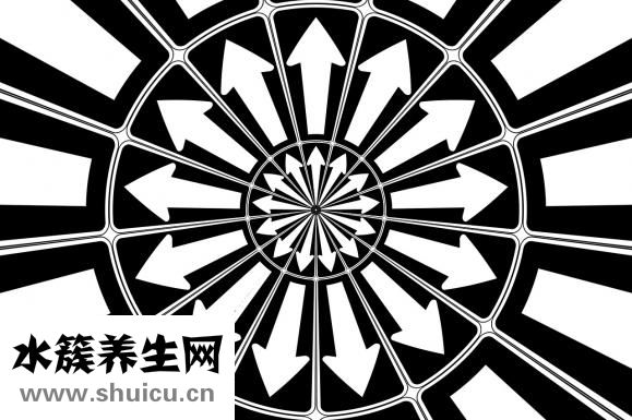 臉腫怎么辦