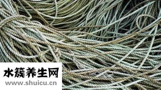 怎么編麻花辮