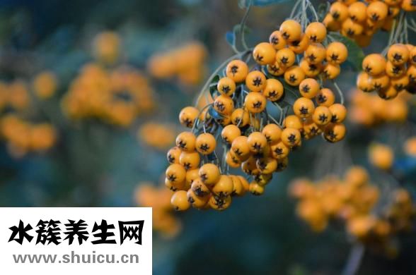 如何測排卵期