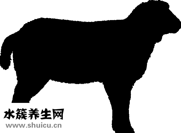 腳冷怎么辦