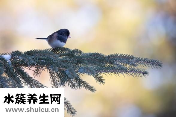 手發麻是什么原因