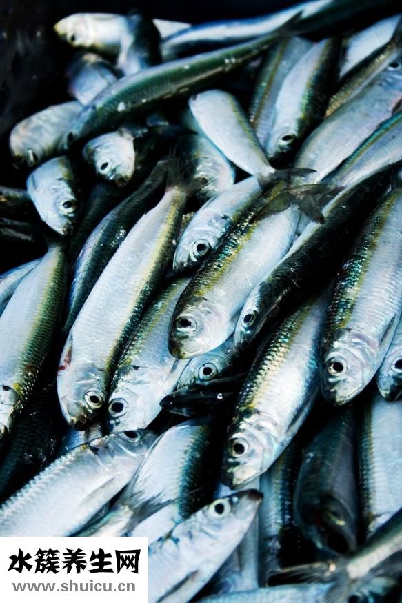 如何做鮑魚