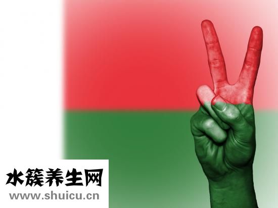 失眠怎么調理