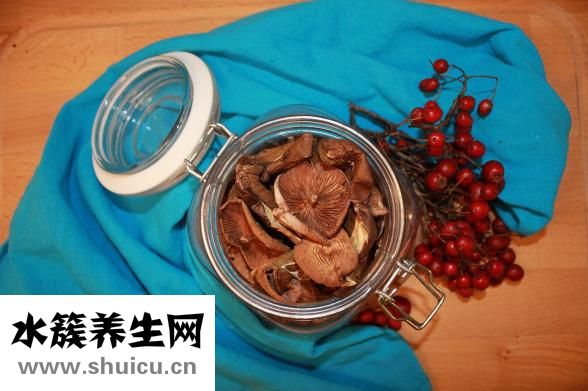 鳳梨是什么