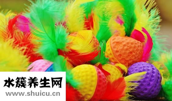 蘆筍是什么