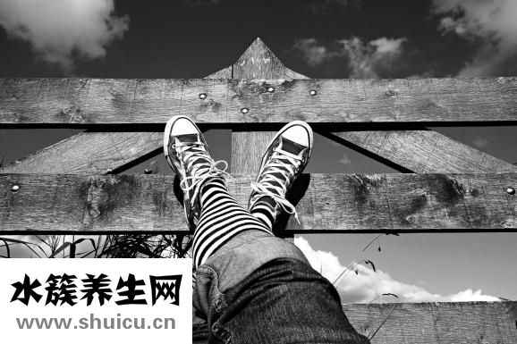 寬寬的什么