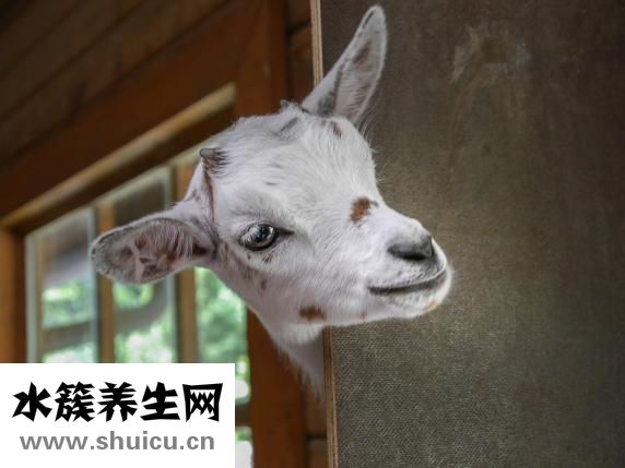 多動癥怎么治療