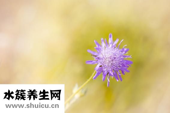 怎么哭出來