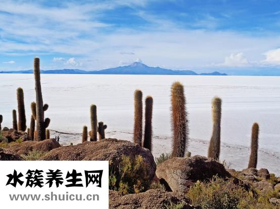 膠水怎么洗