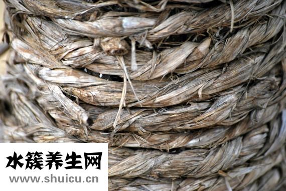 怎么編麻花辮