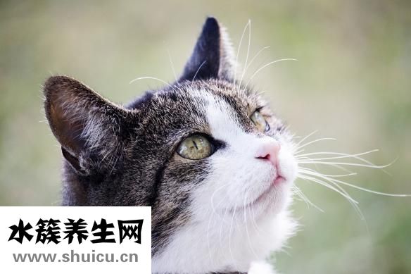 胎記怎么去掉