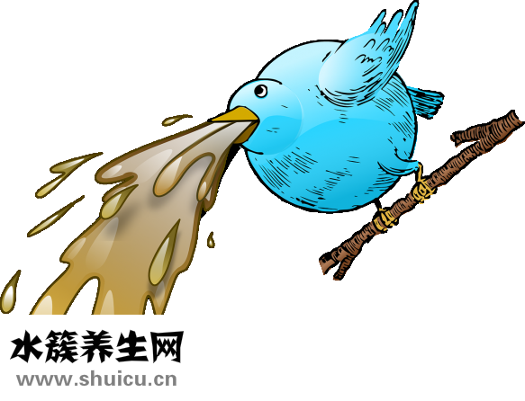 白癜風怎么辦