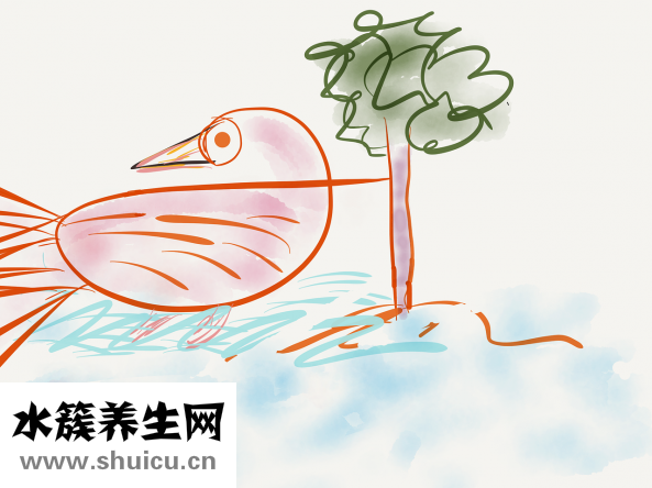 隔離霜怎么用