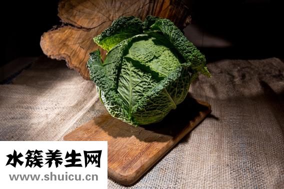 甘藍是什么