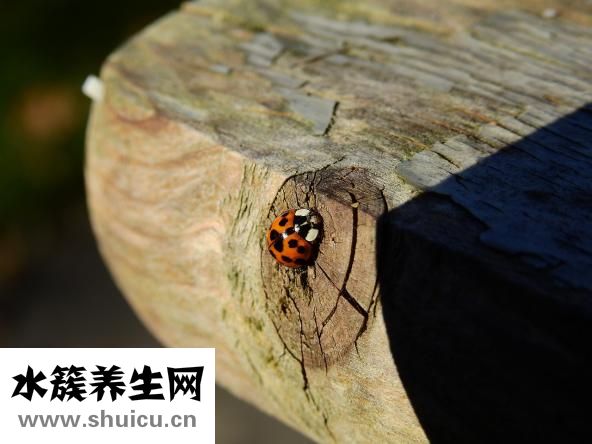 如何去紅血絲