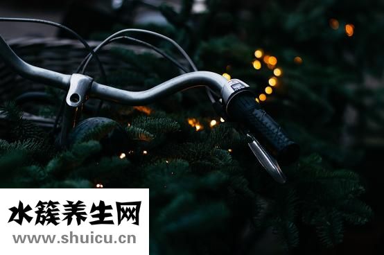 如何快速瘦腰